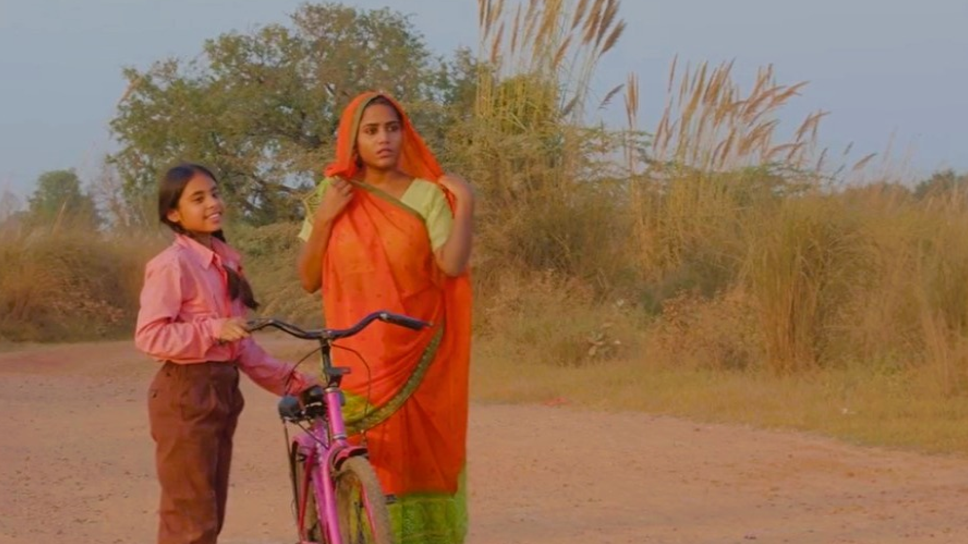 Ek Se Anek (The Lady Bird)